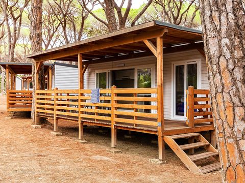 Lodge 4 personnes - Premium
