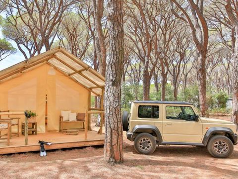 Tente 6 personnes - Safari
