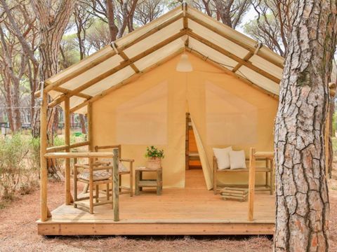 Tente 6 personnes - Safari