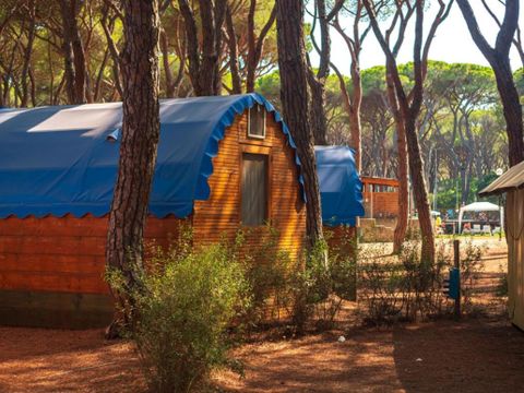 Hébergement 2 personnes - Woody Tent