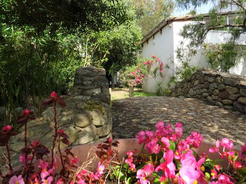 Camping Via Romana  - Camping Corse du Nord - Image N°34