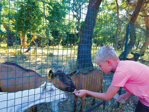 Camping Via Romana  - Camping Corse du Nord - Image N°29