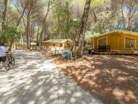 Camping Etruria - Camping Livourne - Image N°36