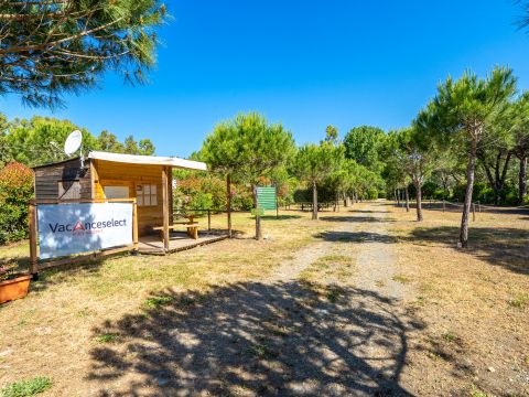 Camping Le Tamerici  - Camping Livourne - Image N°26