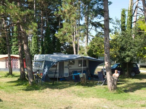 Camping Le Pas Des Biches - Camping Charente-Maritime - Image N°9