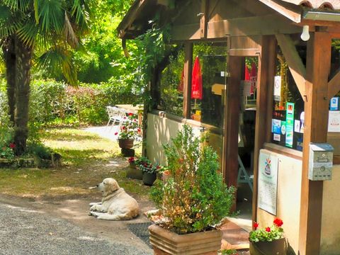 Camping Le Pech de Caumont - Camping Dordogne - Image N°9