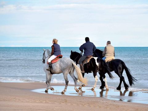 Camping de La Baie - Camping Var - Image N°17