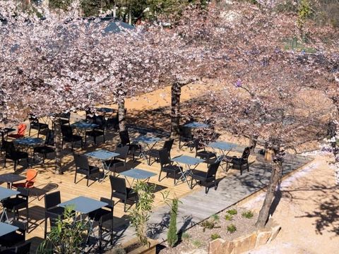 Camping Chanset - Camping Puy-de-Dôme - Image N°25