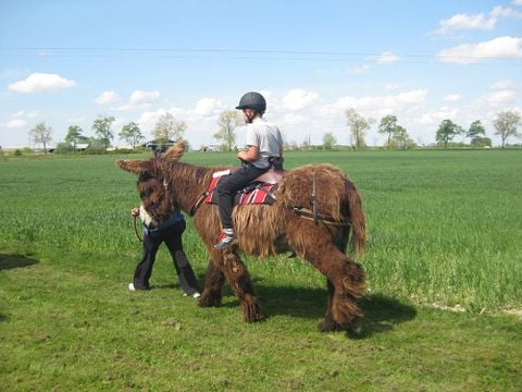 Camping L'île Cariot - Camping Vendée