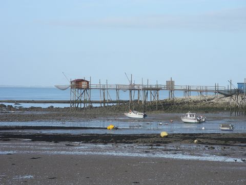 Camping L'île Cariot - Camping Vendée - Image N°61