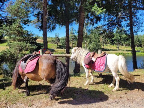Camping La Chanterelle - Camping Haute-Loire - Image N°25