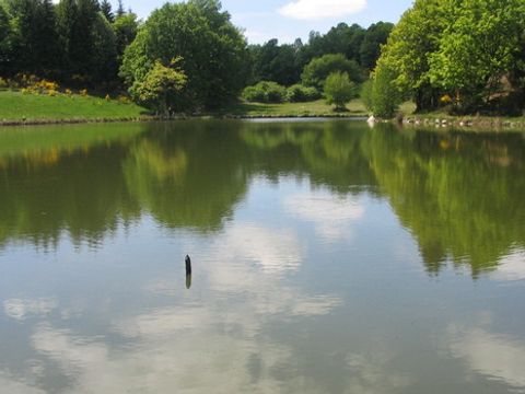 Camping de l'Etang - Camping Cantal - Image N°2