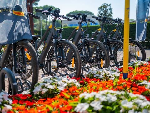 Camping Cavallino - Camping Venise - Image N°10