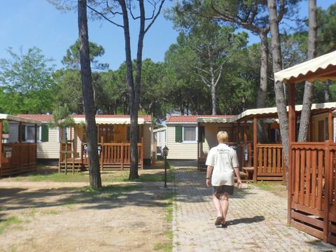 Camping Cavallino - Camping Venise - Image N°58