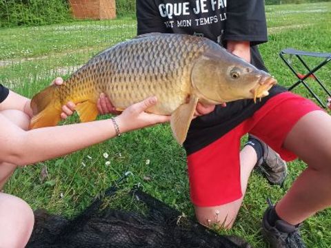 Camping Les Naïades - Camping Ardennes - Image N°18