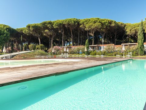 Camping Pineta sul Mare - Camping Forlì-Cesena - Image N°13
