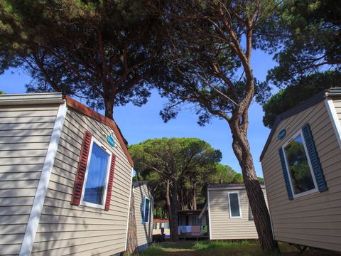 Camping Pineta sul Mare - Camping Forlì-Cesena - Image N°42