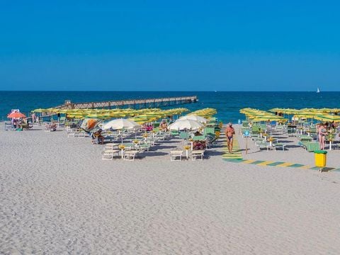Camping Pineta sul Mare - Camping Forlì-Cesena - Image N°7