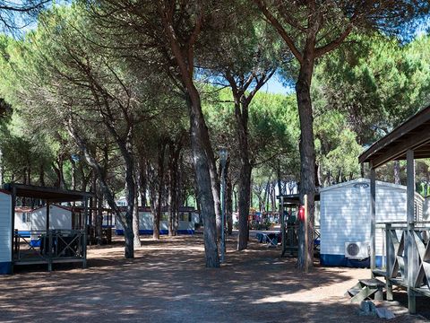 Camping Pineta sul Mare - Camping Forlì-Cesena - Image N°40