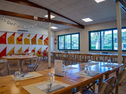 Camping Pineta sul Mare - Camping Forlì-Cesena - Image N°21