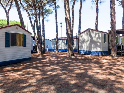 Camping Pineta sul Mare - Camping Forlì-Cesena - Image N°44