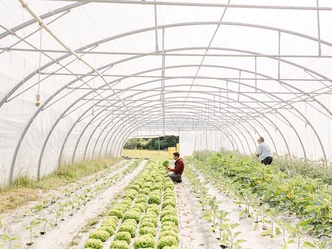 Domaine de L'Oiselière - Camping Vendée - Image N°47