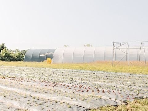 Domaine de L'Oiselière - Camping Vendée - Image N°45