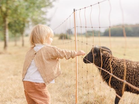 Domaine de L'Oiselière - Camping Vendée - Image N°32