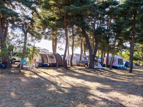 Emplacement - Emplacement confort, 1 installation,1 véhicule, 1 branchement , 2 personnes