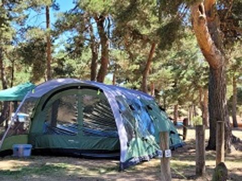 Emplacement - Emplacement standard, 1 installation, 1 voiture, 1 personne