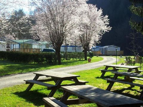 Camping Le Moulin Brûlé - Camping Loire - Image N°7