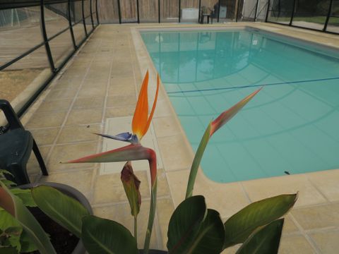 CHALET 2 personnes - LE BOURBONNAIS