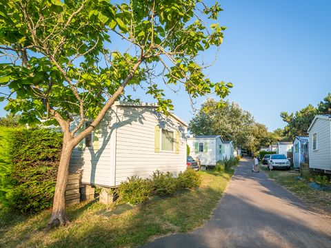 Mobilhome 6 personnes - Mobil Home 2 ch 4/6 pl Terrasse semi-couverte TV sans Clim