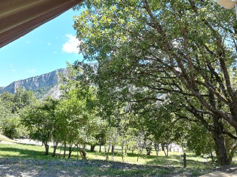 TENTE 4 personnes - Tente junior Standard 21m² (sans sanitaire) 2 chambres + terrasse