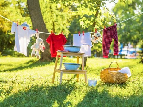 Flower Camping Le Clot du Jay - Camping Alpes-de-Haute-Provence - Image N°39