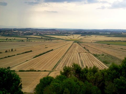 Camping les Peupliers - Camping Hérault - Image N°29
