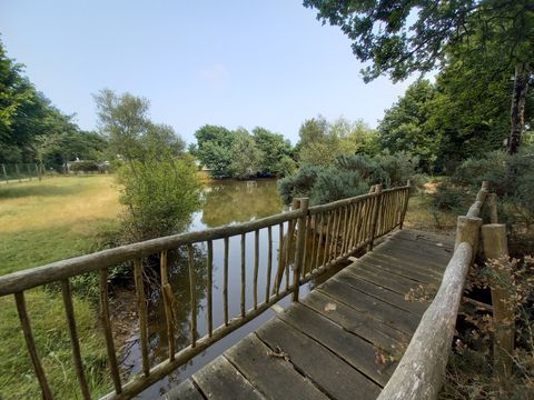 Camping la Vie  - Camping Vendée - Image N°19