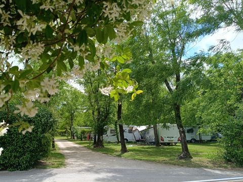 Camping La Digue - Camping Ardèche - Image N°2