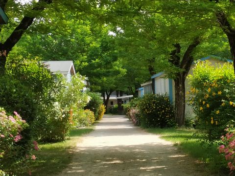 Camping La Digue - Camping Ardèche - Image N°17