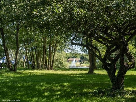 TENTE 2 personnes - bivouac perché (sanitaires communs du camping)