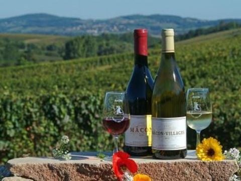 Camping du Lac de Cormoranche  - Camping Ain - Image N°67