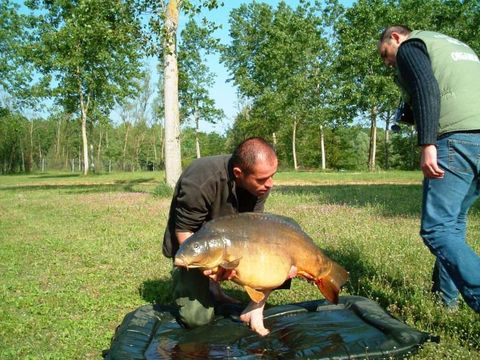 Camping du Lac de Cormoranche  - Camping Ain - Image N°66