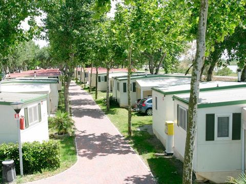 MOBILHOME 4 personnes - MAUI COMFORT