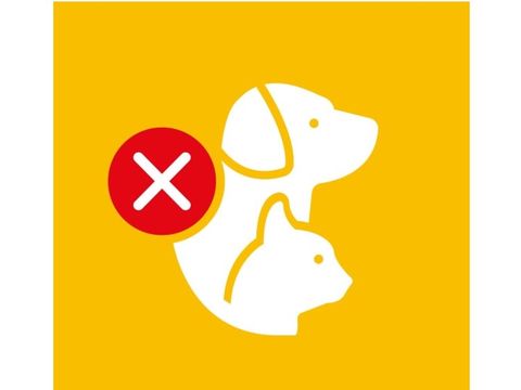 MOBILHOME 4 personnes - Hippocampe