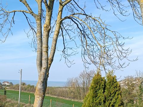 MOBILHOME 4 personnes - O'hara 784 TG