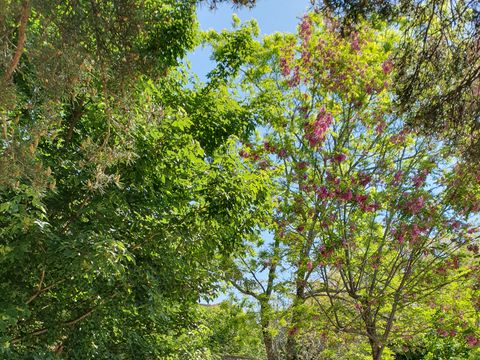 Camping Les Lavandes - Camping Ardèche - Image N°15