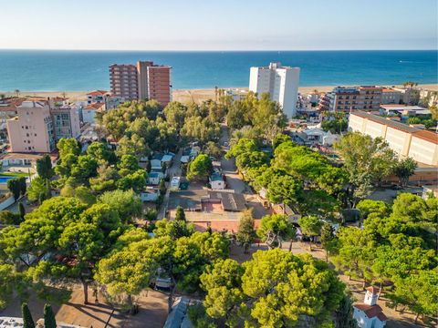 Camping Sant Salvador - Camping Tarragone - Image N°25