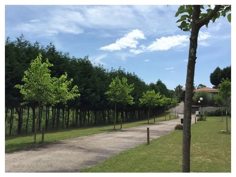Camping Maceira - Camping Pontevedra - Afbeelding N°5
