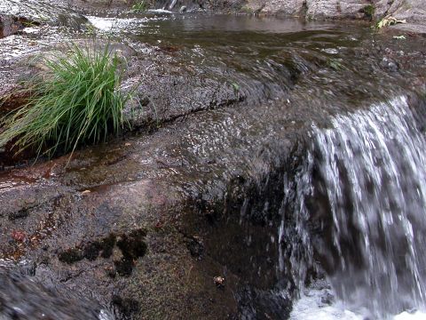 Camping Maceira - Camping Pontevedra - Image N°27