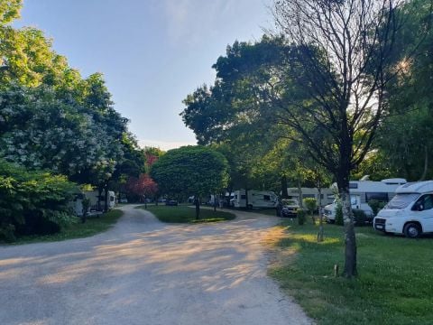 Camping Du Pasquier - Camping Jura - Image N°4